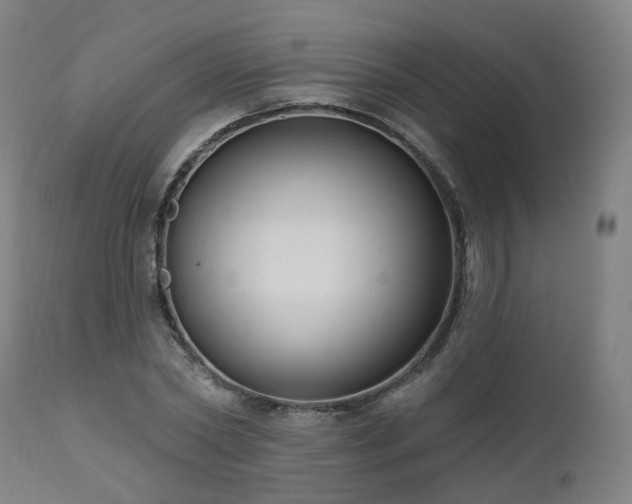X0000112520782200908241443