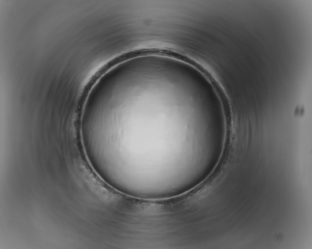 X0000112520783200908241443