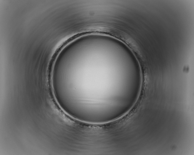 X0000112520784200908241443