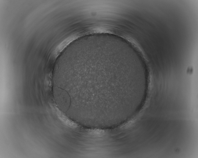 X0000112520785200908241443