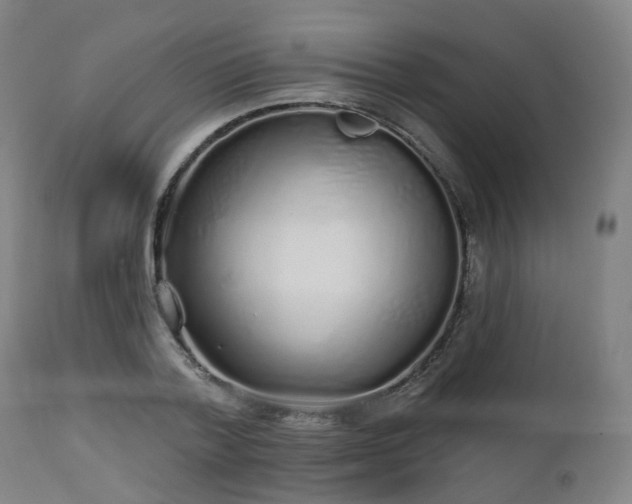 X0000112520788200908241443