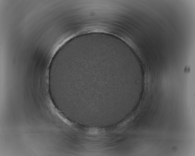 X0000112520790200908241443