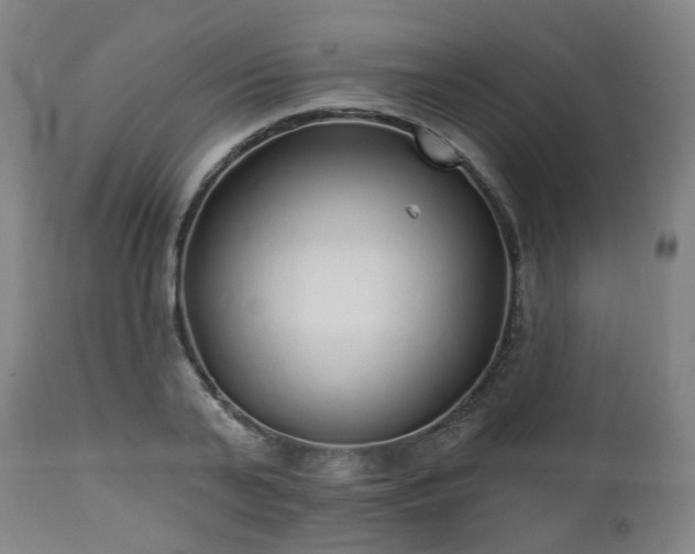 X0000112520791200908241443