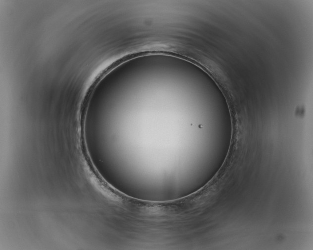 X0000112520792200908241443