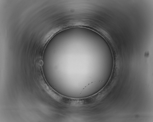 X0000112520793200908241443