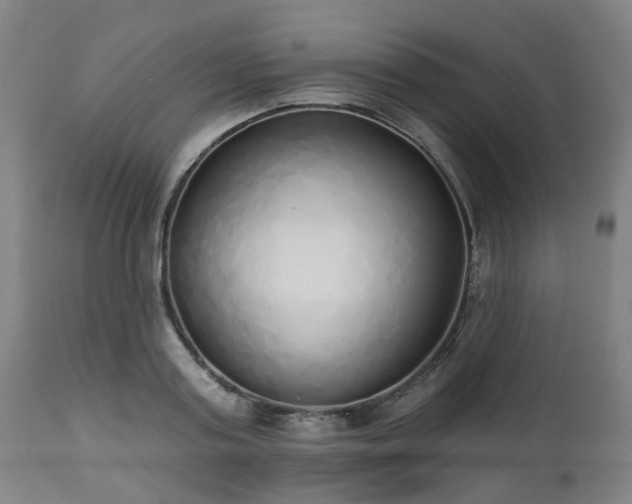 X0000112520795200908241443
