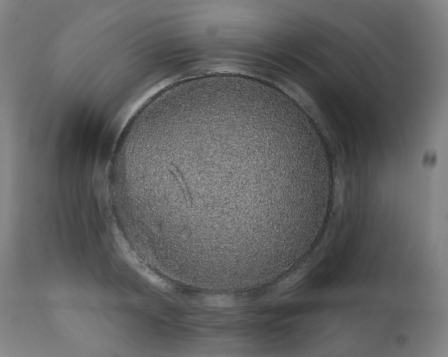 X0000112520798200908241443