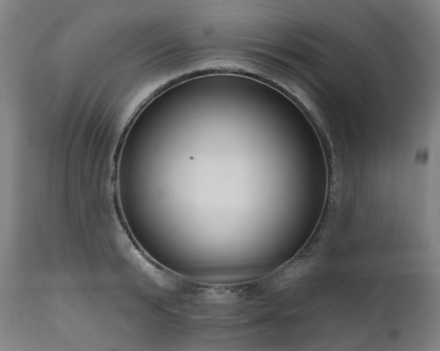 X0000112520799200908241443