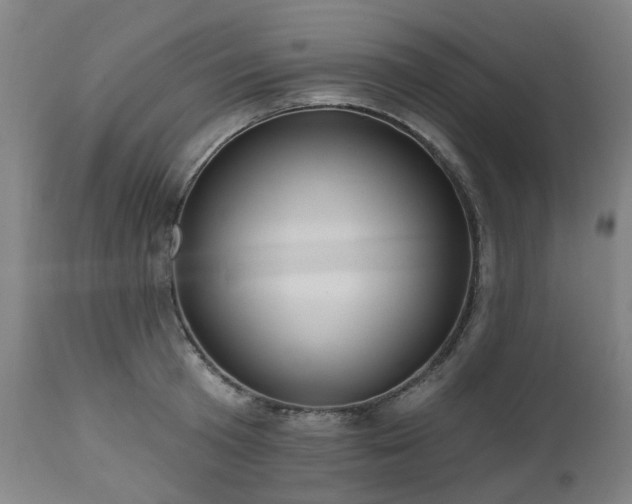 X0000112520801200908241443