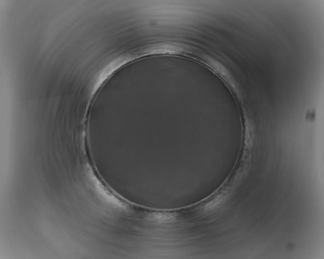 X0000112520802200908241443