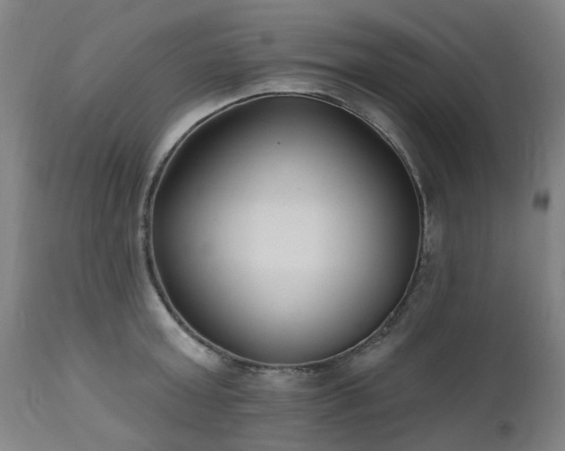 X0000112520803200908241443