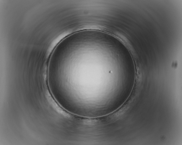 X0000112520804200908241443