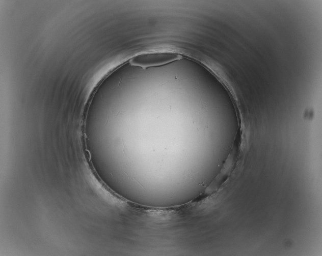 X0000112520805200908241443