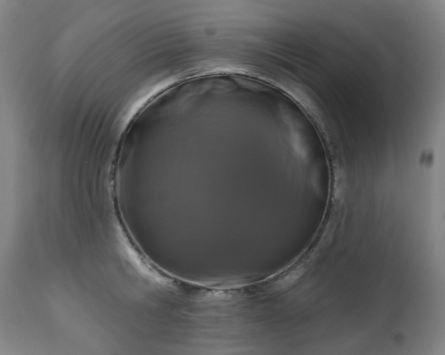 X0000112520806200908241443
