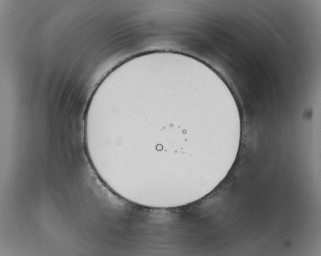 X0000112520807200908241443
