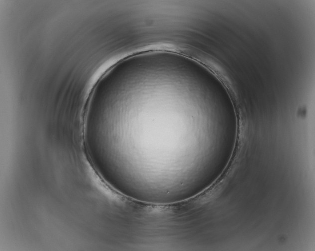 X0000112520808200908241443