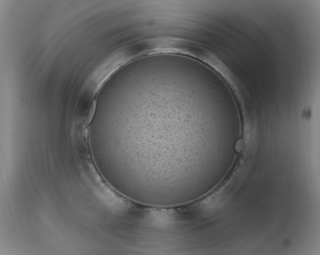 X0000112520809200908241443