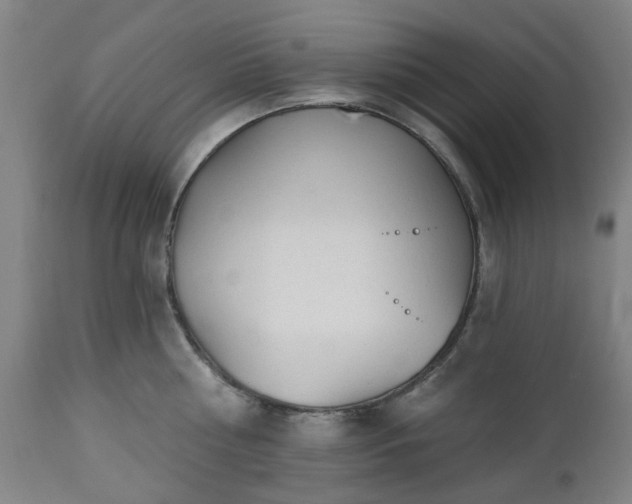 X0000112520810200908241443