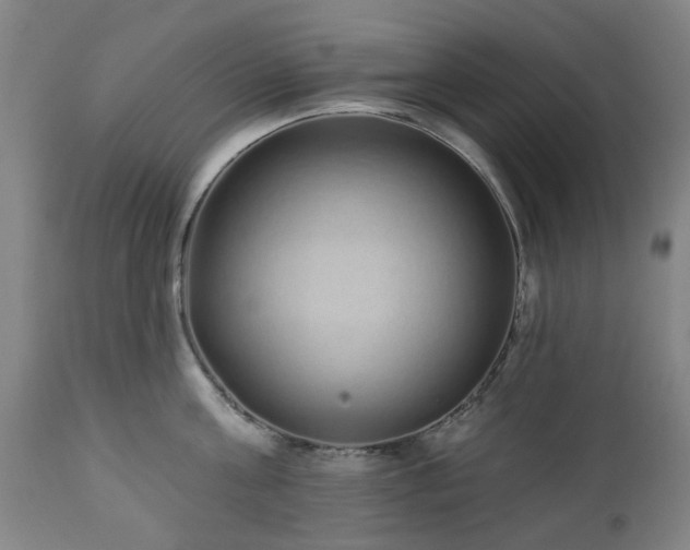 X0000112520811200908241443