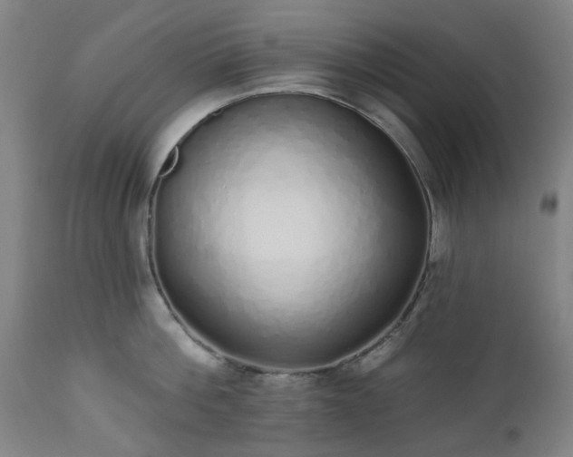 X0000112520812200908241443