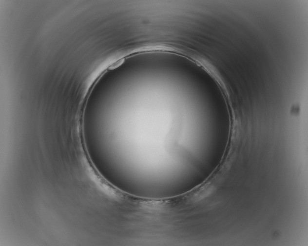 X0000112520813200908241443