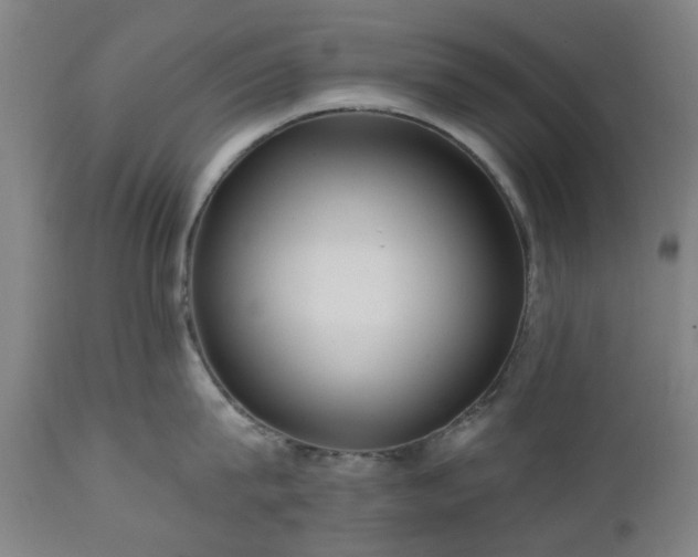 X0000112520815200908241443