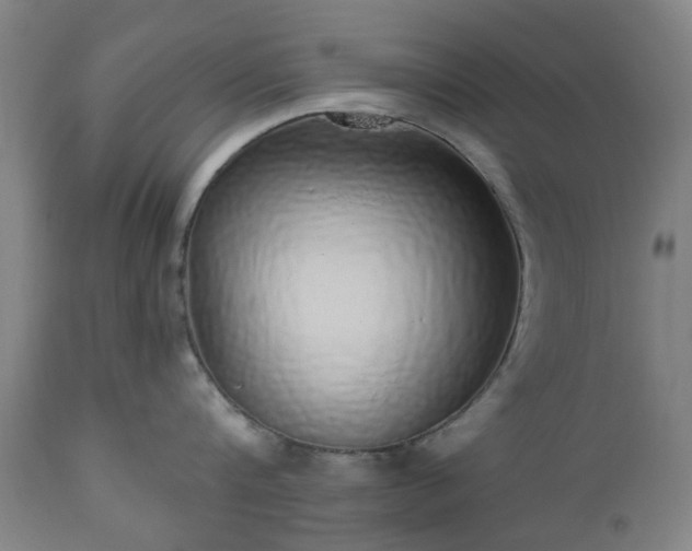 X0000112520816200908241443