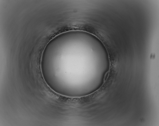 X0000112520817200908241442