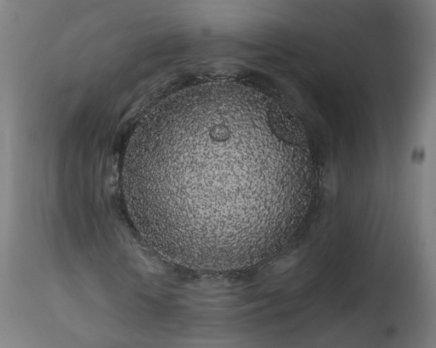 X0000112520818200908241442