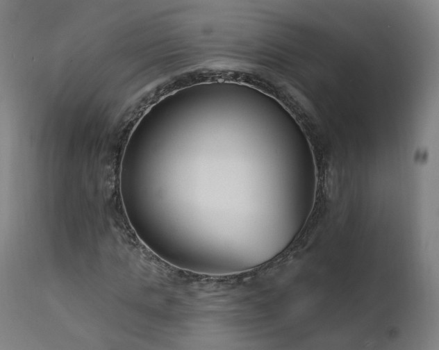 X0000112520821200908241442