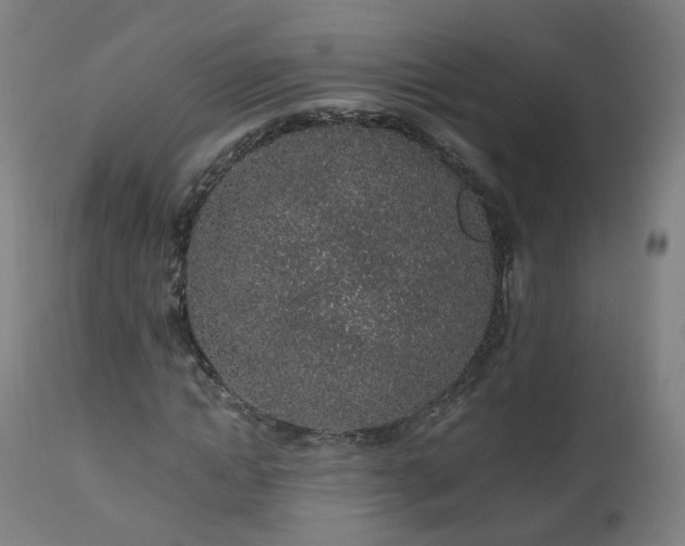X0000112520822200908241442