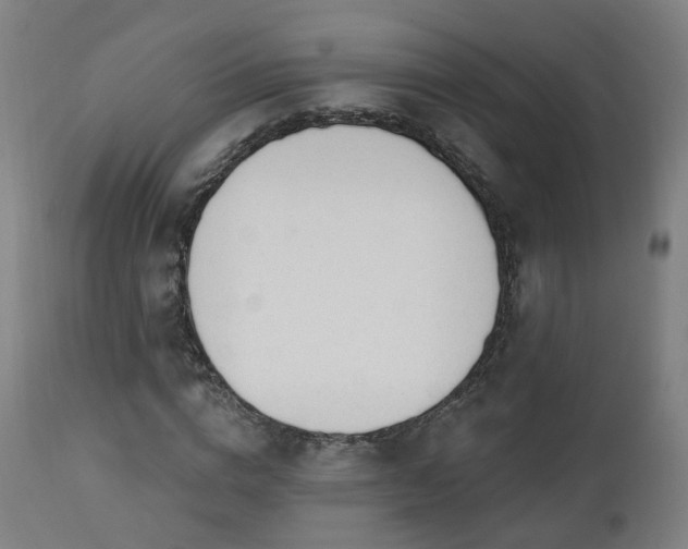 X0000112520824200908241442