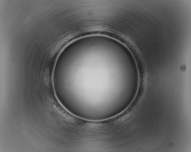 X0000112520825200908241442