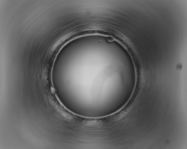 X0000112520826200908241442