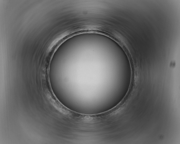 X0000112520827200908241442