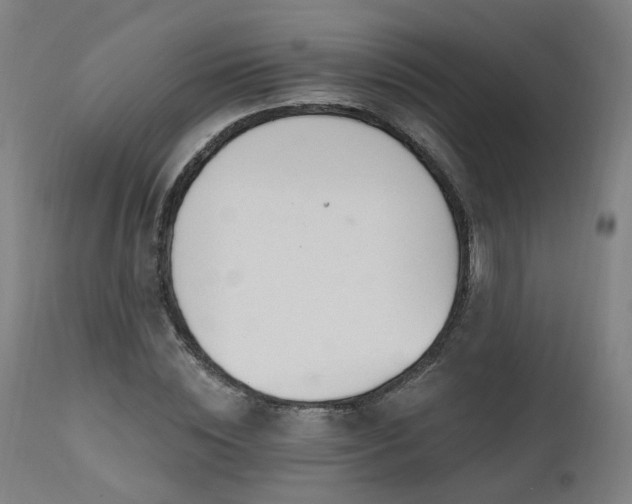 X0000112520828200908241442