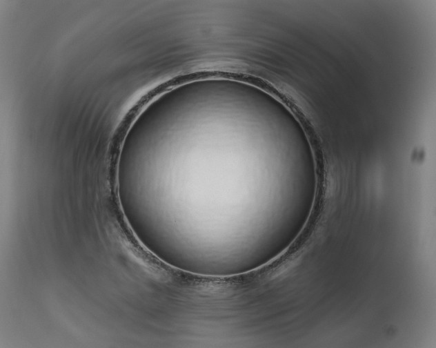 X0000112520830200908241442