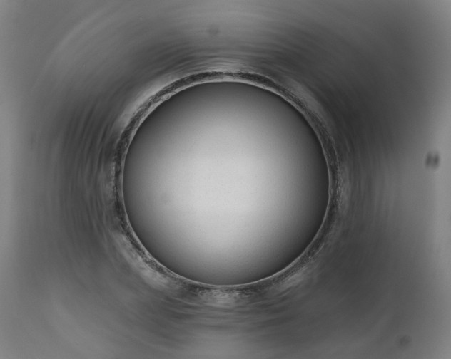 X0000112520831200908241442