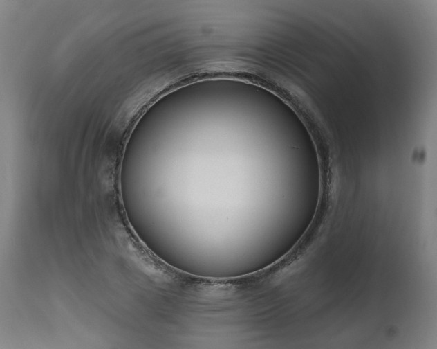 X0000112520833200908241442