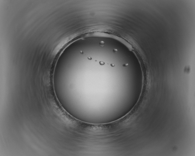 X0000112520834200908241442