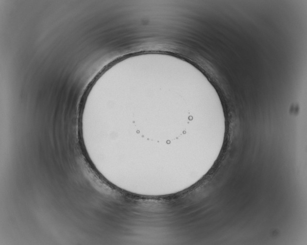 X0000112520836200908241442