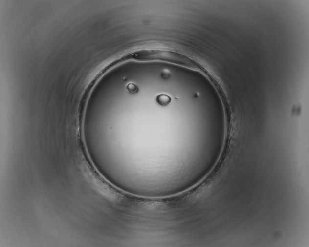X0000112520837200908241442