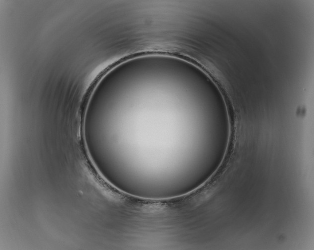 X0000112520838200908241442