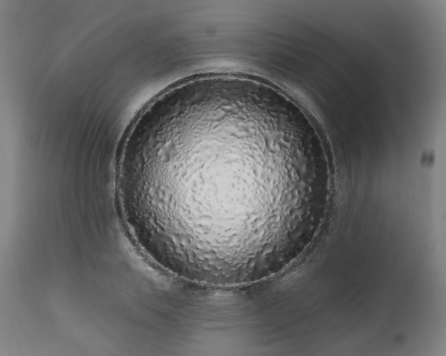 X0000112520839200908241442