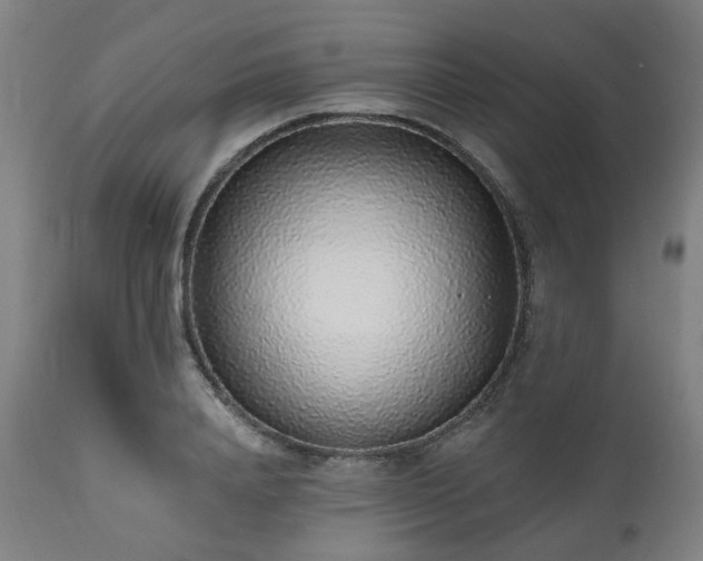 X0000112520840200908241442