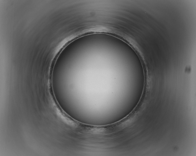 X0000112520845200908241443