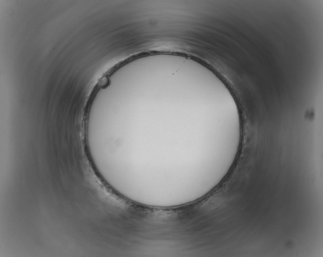 X0000112520848200908241443