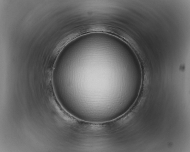 X0000112520849200908241443