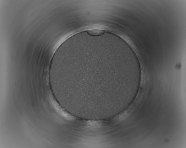 X0000112520850200908241443