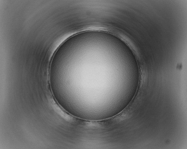 X0000112520852200908241443